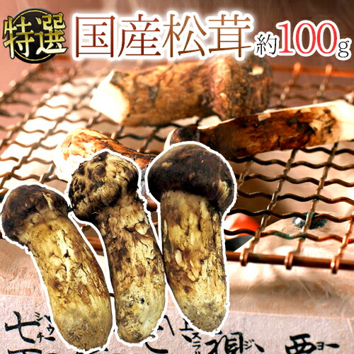 楽天市場】国産 松茸 秋ギフト ギフト きのこ 天然 高野松茸
