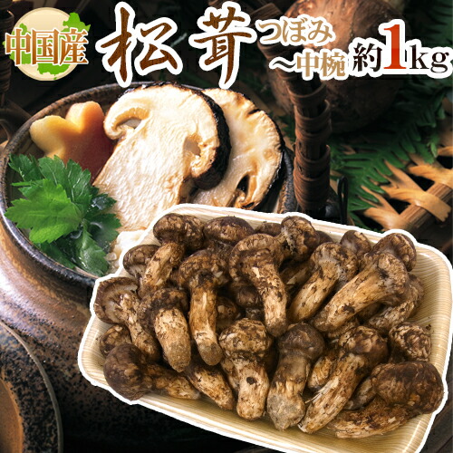 松茸　中国産　冷凍 楽天市場】冷凍 松茸 1kg 中国産 送料無料の通販