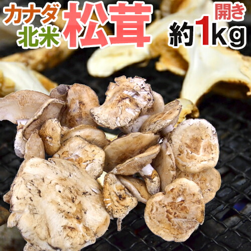 ユキダルマ様用　松茸 楽天市場】【8/10限定！全額ポイントバックの大チャンス】”国産