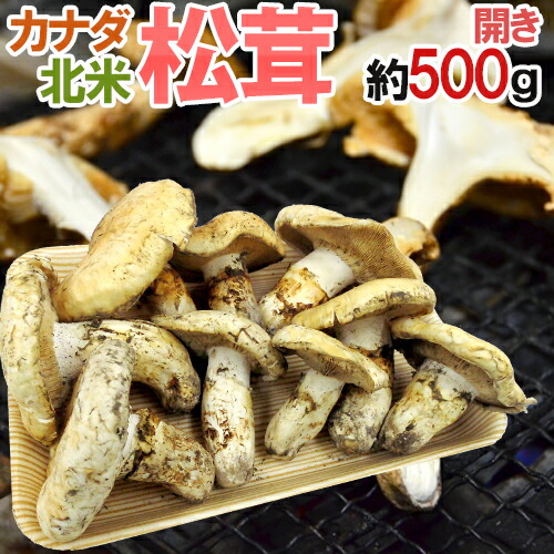 広島県産松茸　260g 広島県産松茸(数量限定で)販売開始！ - 株式会社まつたけ村