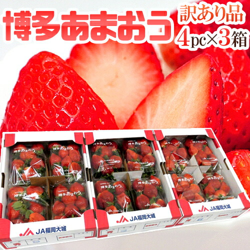 楽天市場】福岡産 博多 ”あまおういちご” 訳あり 約270g×4パック×《4箱