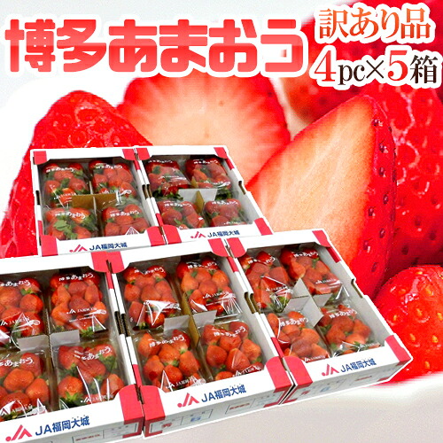 福岡産 博多 ”あまおういちご” 訳あり 約270g×4パック×《5箱》【予約 12月以降】 送料無料