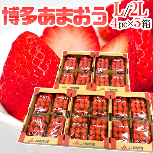 楽天市場】福岡産いちご ”博多あまおう” 秀品 L/2Lサイズ 約270g×4