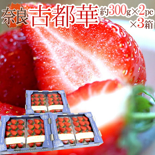 楽天市場】奈良県産 ”古都華いちご” 2pc×《2箱》（1pcあたり 約300g