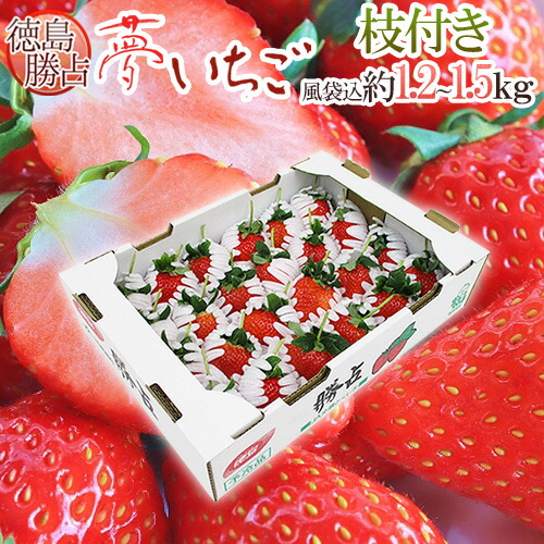 楽天市場】熊本県産 糖蜜使用のこだわりいちご ”ひのしずく きくちの