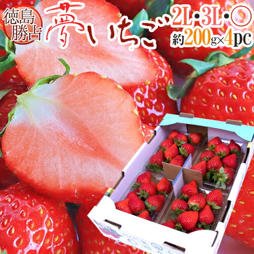 楽天市場】佐賀 ”いちごさん” 秀品 3L〜5Lサイズ 約250g×2パック