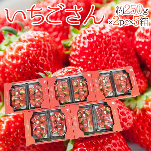 041-ichigo4pcw01.jpg
