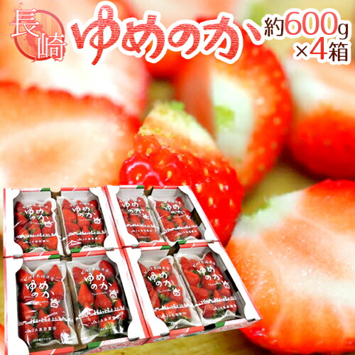 インポート・海外人気ブランド 042-yumenoka2400g01.jpg テープ・マスキングテープ