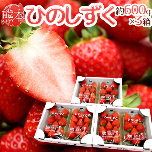 楽天市場】熊本県 ”ひのしずくいちご” 秀品 2パック入り（1パック 7