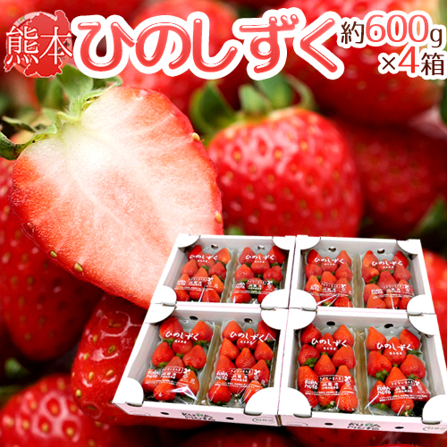 新版 楽天市場 熊本県 ひのしずくいちご 秀品 2パック入り 1パック 7 13粒 約300g 4箱 予約 12月 3月 送料無料 くらし快援隊 母の日父の日お歳暮 期間限定送料無料 Www Lexusoman Com