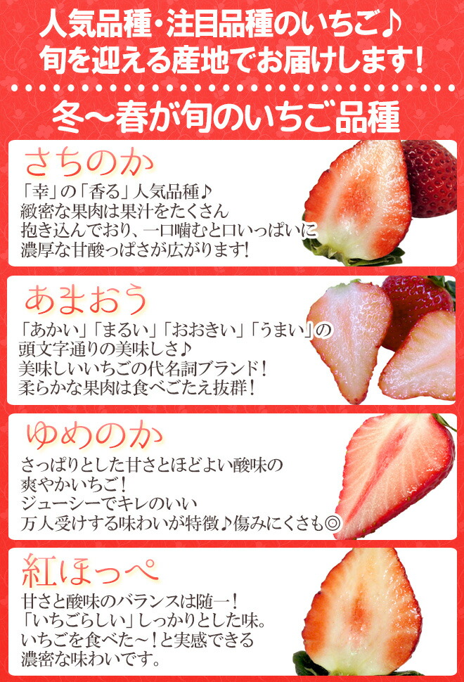ケーキにピッタリサイズの いちご Mサイズ 約250 300g 2pc 産地厳選 ケーキ用 製菓用 業務用 送料無料 Clinicalaspalmeras Com