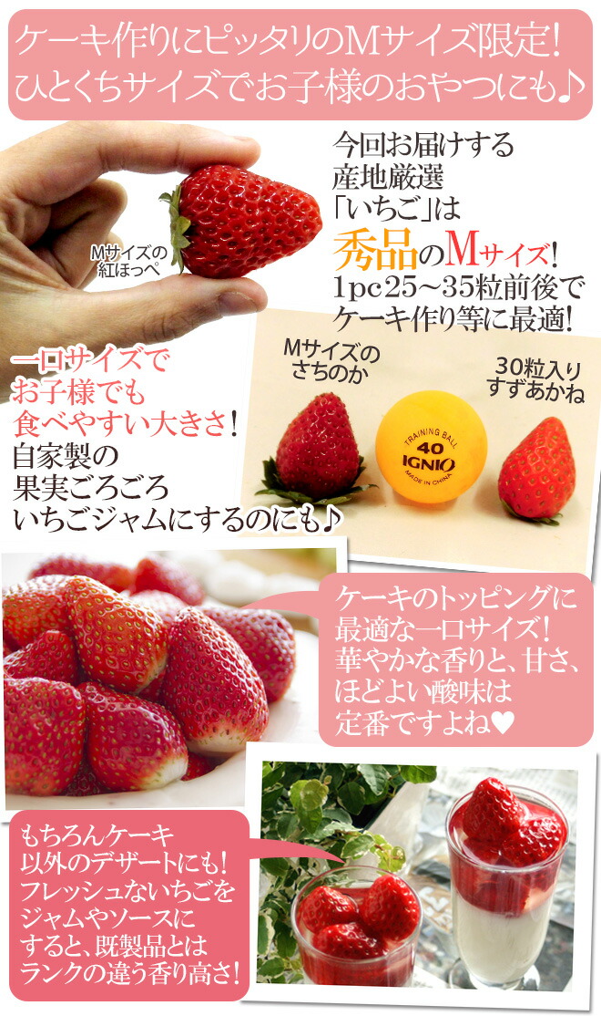 ケーキにピッタリサイズの いちご Mサイズ 約250 300g 2pc 産地厳選 ケーキ用 製菓用 業務用 送料無料 Clinicalaspalmeras Com