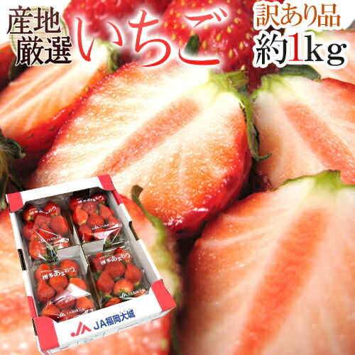 【オープニング 大放出セール】 楽天市場】【緊急スポット】”いちご” 約1kg 秀/◯等級 品種 クラフト・布製品