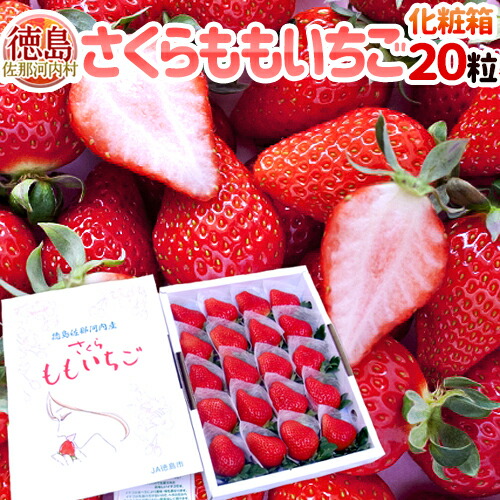 徳島県佐那河内産 &rdquo;さくらももいちご&rdquo; 超大粒20粒 化粧箱