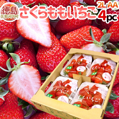 楽天市場】徳島県佐那河内村 ”さくらももいちご” M/Lサイズ 約200g×4pc