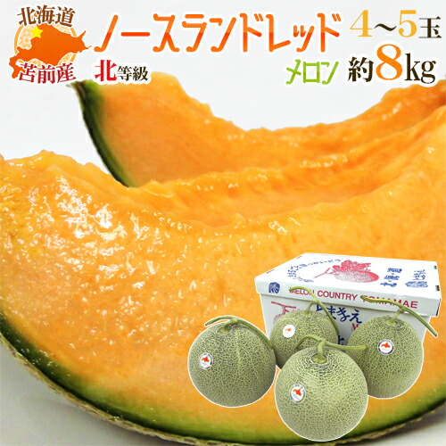 北海道産　ノースランドレッドメロン6玉 JAピンネ オンラインショップ / 北海道 新十津川産 ノースランド