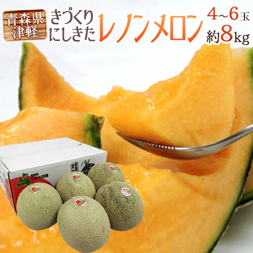 青森県 きづくり・にしきた ”レノンメロン” 秀品 4～6玉 約8kg【予約 7月下旬以降】 送料無料