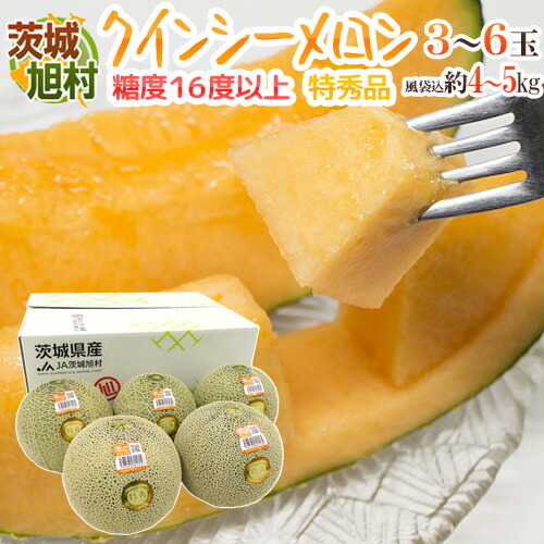 JA茨城旭村 ”クインシーメロン” 特秀品 3～6玉 風袋込約4～5kg【予約 5月末以降】 送料無料