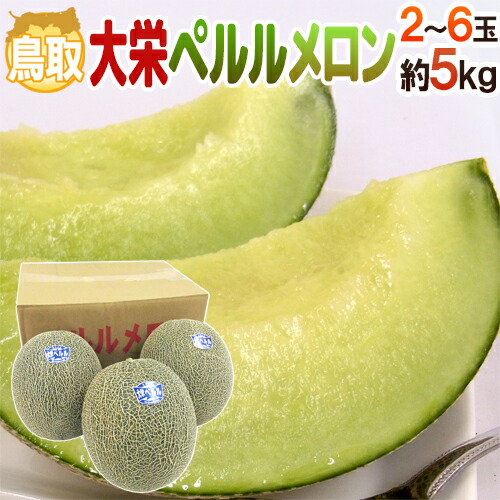 鳥取県 ”大栄ペルルメロン” 秀/優品 2～6玉 約5kg【予約 6月下旬以降】 送料無料