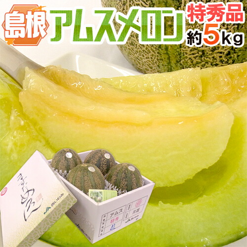 島根県 益田 ”アムスメロン” 特秀 3～6玉 約5kg 糖度16度以上【予約 6月以降】 送料無料
