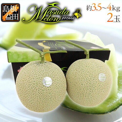 島根県 益田 ”ますだ マスクメロン” 特秀品 大玉2玉 約3.5～4kg【予約 7月以降】 送料無料