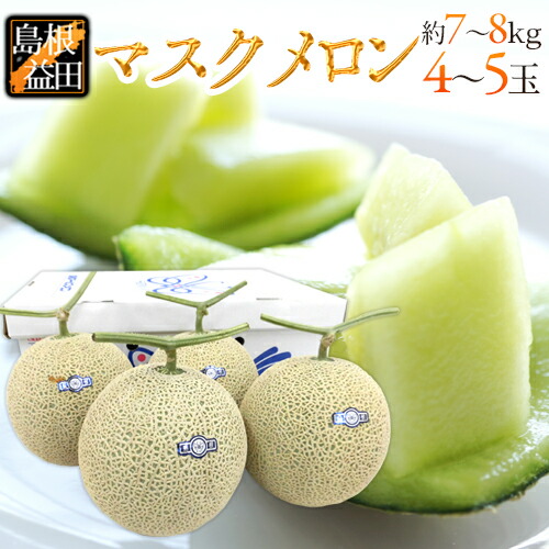 島根県 ”温室マスクメロン” 秀品 大玉4～5玉 約7～8kg【予約 7月以降】 送料無料