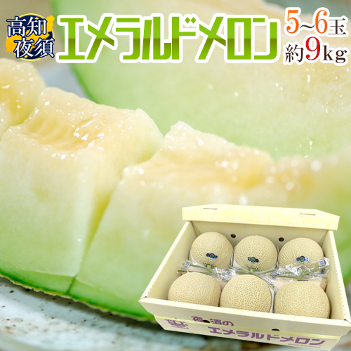 楽天市場】高知県夜須産 ”エメラルドメロン” 大玉 約1.8kg×2玉