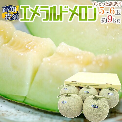 高知県夜須産 ”エメラルドメロン” ちょっと訳あり 大玉 5～6玉入り 約9～10kg【予約 入荷次第発送】 送料無料