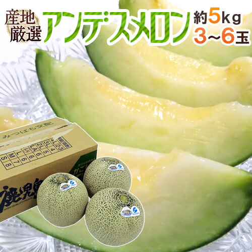 ”アンデスメロン” 秀品 【SALE／63%OFF】 3〜6玉 約5kg 予約 産地厳選 最新コレックション 5月末以降 送料無料