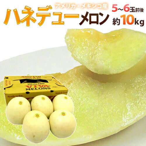 ”ハネデューメロン” 5～6玉前後 約10kg メキシコ・アメリカ産 他【予約 入荷次第発送】 送料無料