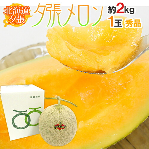 北海道 ”夕張メロン” 共撰・秀品 1玉 約2kg【予約 7月中下旬以降】 送料無料
