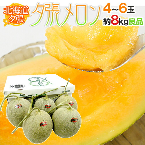 北海道 ”夕張メロン” 共撰・良品 4～6玉 約8kg【予約 7月中下旬以降】 送料無料