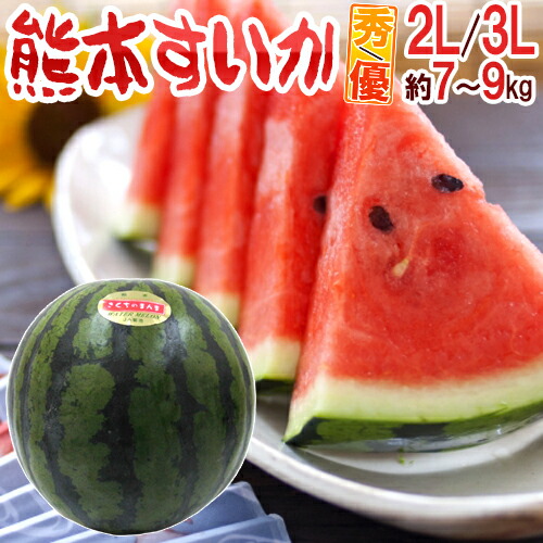 熊本県産 ”熊本すいか” 秀・優品 2L～3Lサイズ 約7kg～9kg【予約 4月以降】 送料無料