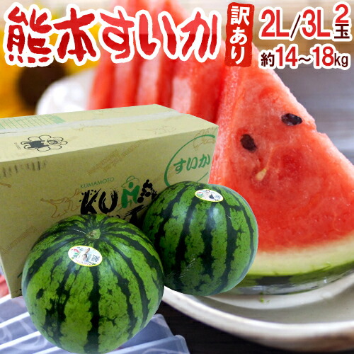 熊本県産 ”熊本すいか” 訳あり 2L～3Lサイズ 2玉 約14kg～18kg（1玉重量約7～9kg）【予約 4月以降】 送料無料