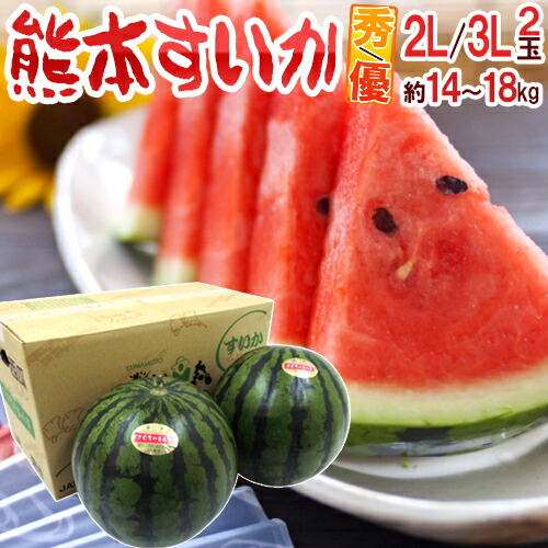 熊本県産 ”熊本すいか” 秀・優品 2L～3Lサイズ 2玉 約14kg～18kg（1玉重量約7～9kg）【予約 4月以降】 送料無料