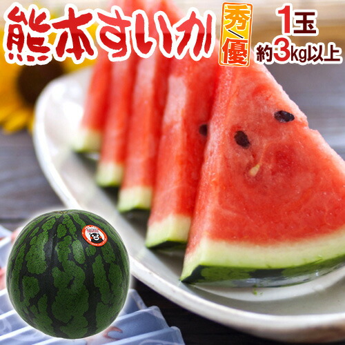 一番の贈り物 楽天市場】熊本県 ”熊本すいか” 秀/優品 約5kg以上×2玉（合計約 果物