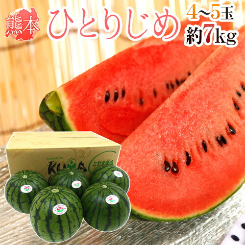熊本産 ”小玉すいか ひとりじめ” 秀・優 L/2L 4～5玉 約7.5kg前後【予約 4月以降】 送料無料