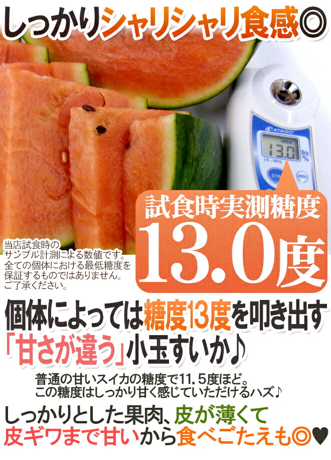 熊本県 黒皮すいか ”夢黒小玉” 訳あり 3L 3玉 約7.5kg【予約 5月下旬以降】 熊本県 黒皮すいか ”夢黒小玉” 訳あり 3L 3玉 約7.5kg【予約 5月下旬以降】