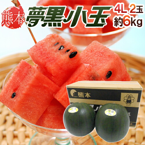 熊本県 黒皮すいか ”夢黒小玉” 秀・優品 4L 2玉 約6kg【予約 5月下旬以降】 送料無料