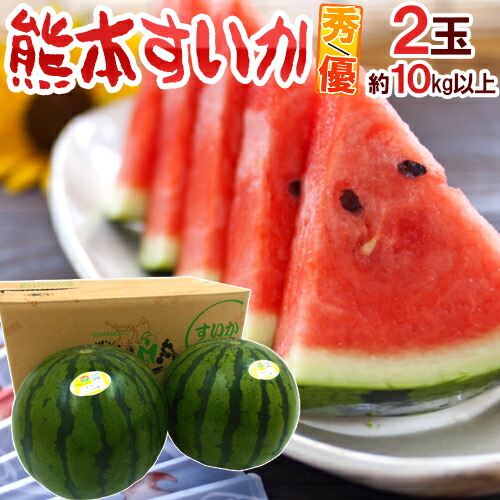 熊本県 ”熊本すいか” 秀/優品 約5kg以上×2玉（合計約10kg以上）【予約 4月以降】 送料無料