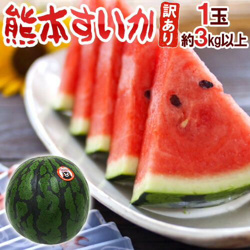 楽天市場】熊本県 ”熊本すいか” 秀/優品 約5kg以上×2玉（合計約