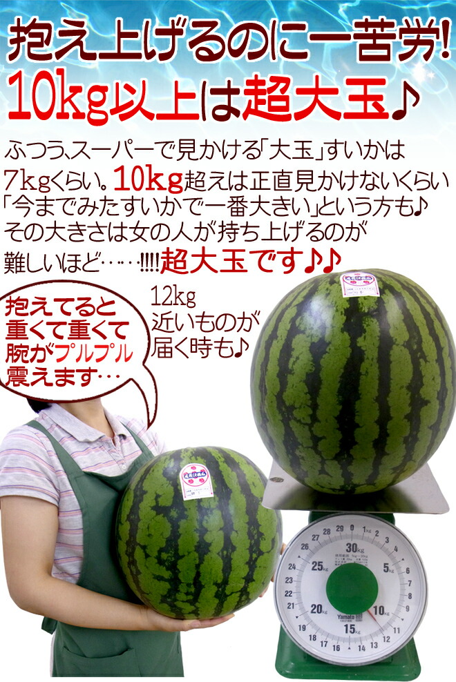 山形県産 ”尾花沢スイカ” 6Lサイズ 1玉約10kg以上 等級A（秀品）【予約