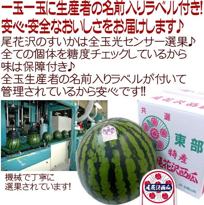 山形県産 ”尾花沢スイカ” 6Lサイズ 1玉約10kg以上 等級A（秀品