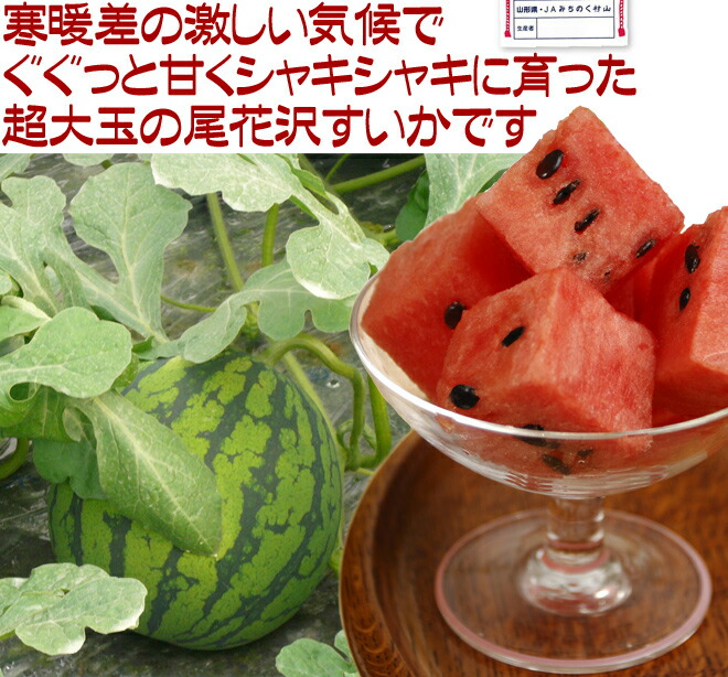 【沢山のいいね有り難う❣️土日限定価格です】　SUKALAスプリングフラワーフレ 沢山のいいね有り難う❣️土日限定価格です】 SUKALAスプリング