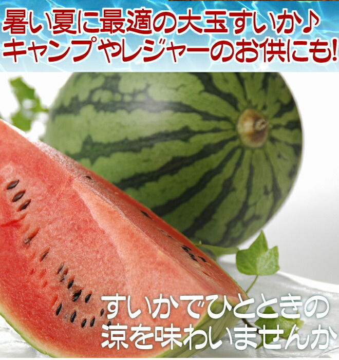 すいかごはん様 先行受付】尾花沢産スイカ 6Lサイズ(約11kg)1玉 令和7年産 観光