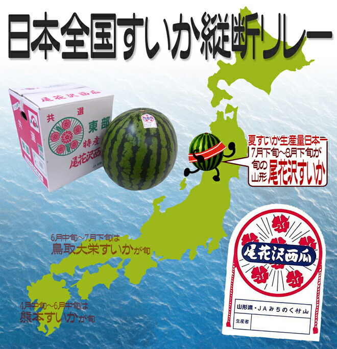 山形県産 ”尾花沢スイカ” 6Lサイズ 1玉約10kg以上 ちょっと訳
