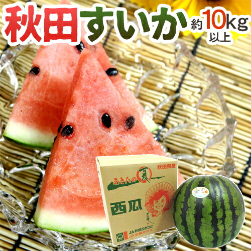秋田県 ”秋田すいか” 秀品 約10～11kg以上【予約 7月下旬～8月以降】 送料無料