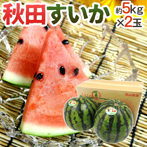秋田県 ”秋田すいか” 秀品 約5kg以上×2玉【予約 7月下旬～8月以降】 送料無料