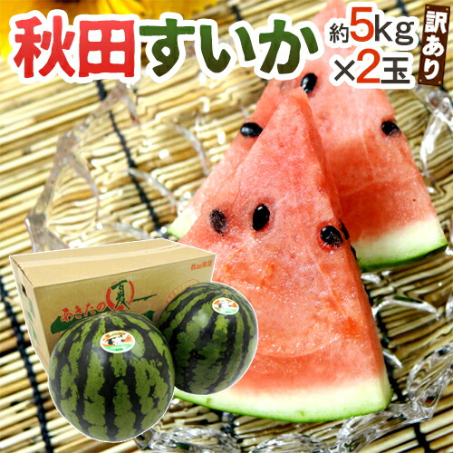 秋田県 ”秋田すいか” 訳あり 約5kg以上×2玉【予約 7月下旬～8月以降】 送料無料