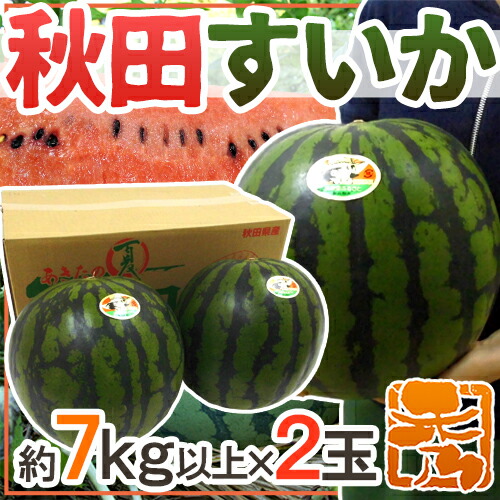 秋田県 ”秋田すいか” 秀品 約7kg以上×2玉【予約 7月下旬～8月以降】 送料無料